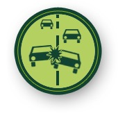 Motor Vehicle Insurance Motor Vehicle Insurance